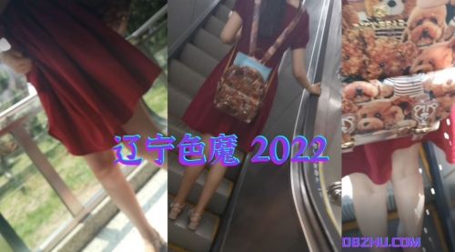 辽宁色魔2022第二十五集